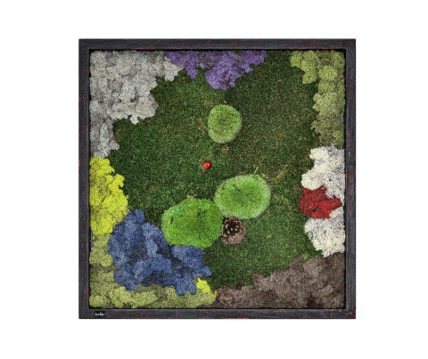 60x60 cm Canlı yosun tablo