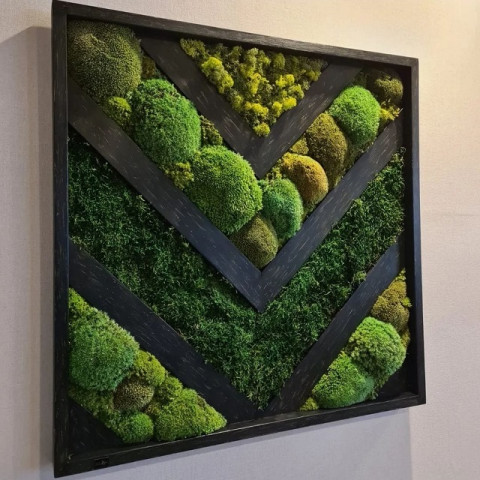 Canlı Yosun Dekorlu Tablo