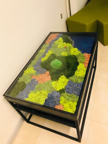 Epoksi ve Canlı Yosun Manzara Dekorlu Sehpa