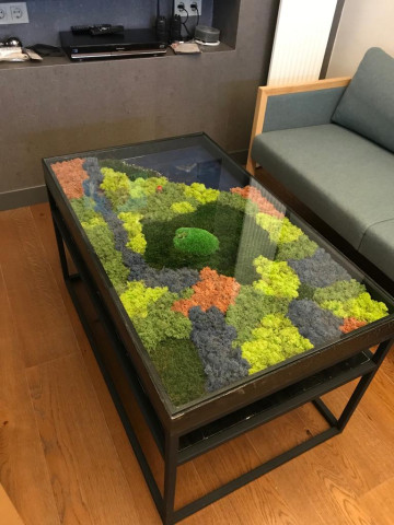 Epoksi ve Canlı Yosun Manzara Dekorlu Sehpa