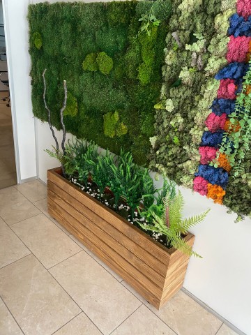 Doğal Ahşap Bitki Saksısı