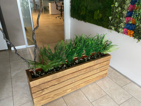 Doğal Ahşap Bitki Saksısı