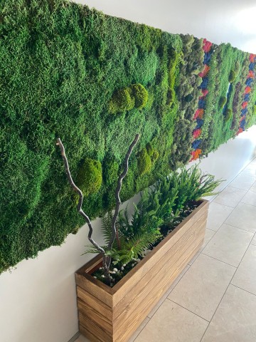 Doğal Ahşap Bitki Saksısı