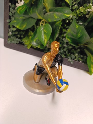 Voleybolcu Erkek Biblo 10 numara